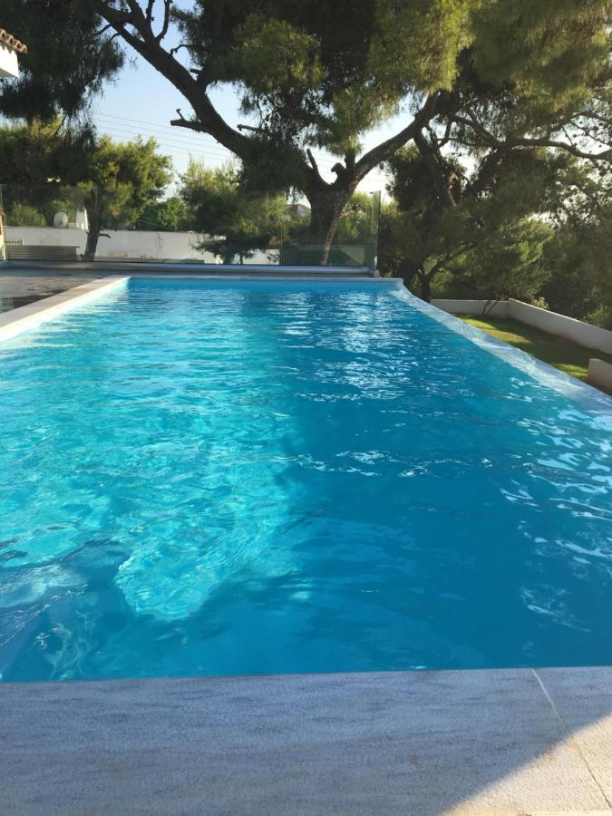 Villa Tranquility Lagonisi Exteriér fotografie