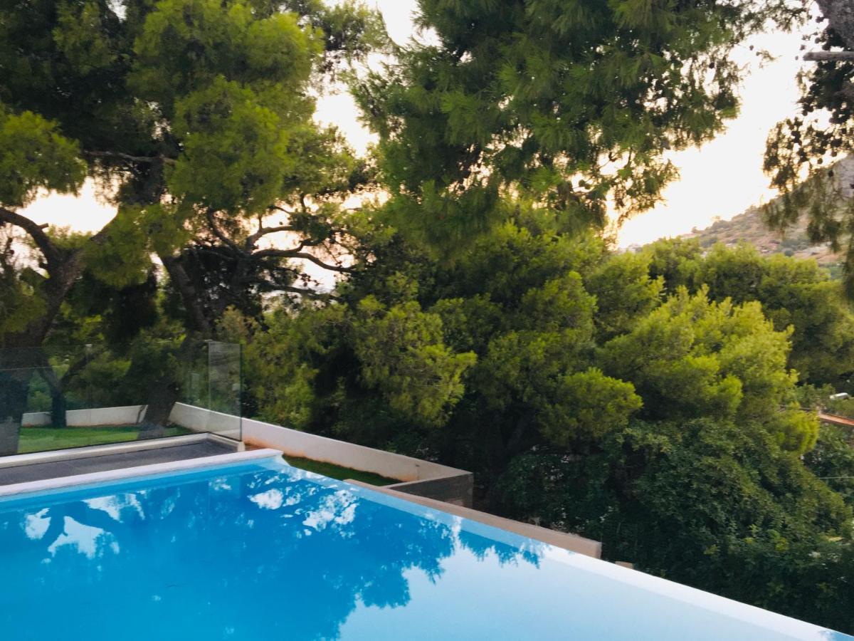 Villa Tranquility Lagonisi Exteriér fotografie