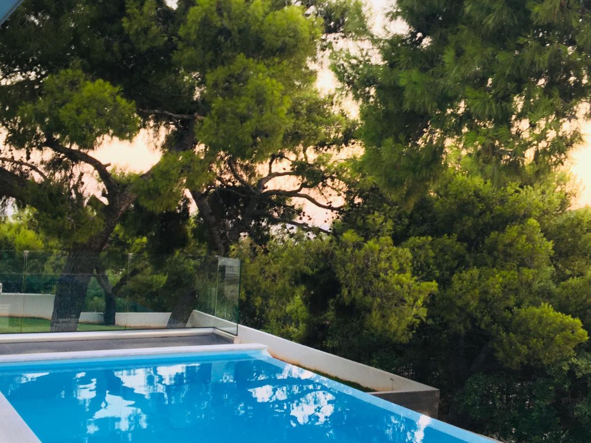 Villa Tranquility Lagonisi Exteriér fotografie